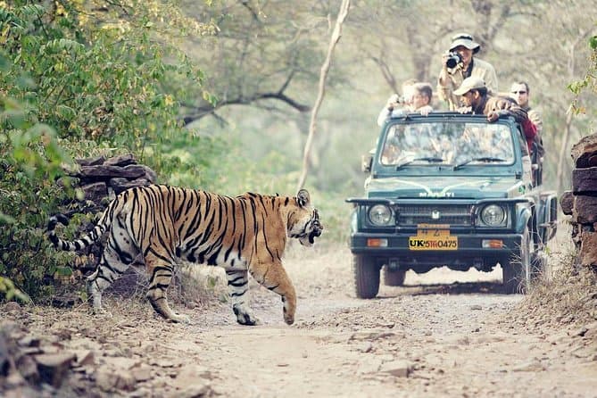 Meera Joshi's trip